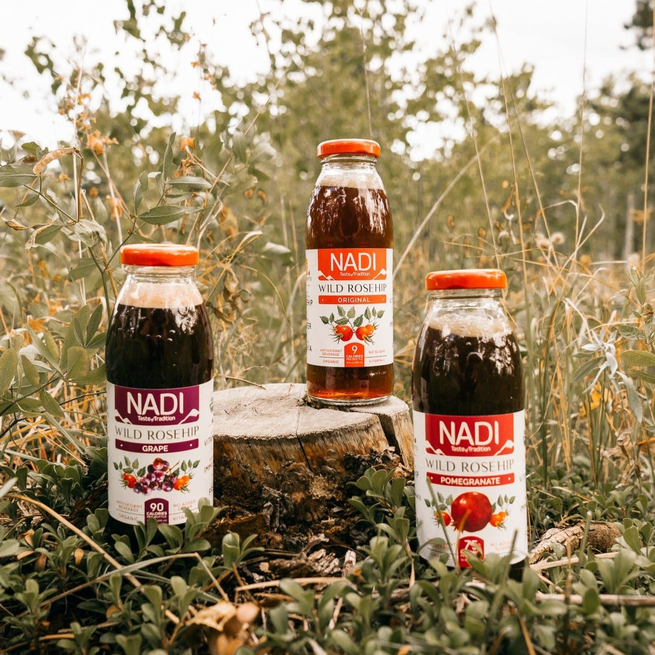 NADI Organic Original, Pomegranate and Grape Rosehip Juice bottles on a grassy field